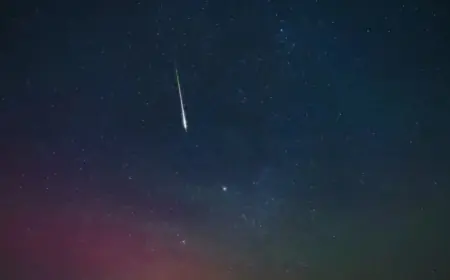City Stargazing: How to Watch the Lyrids Meteor Shower