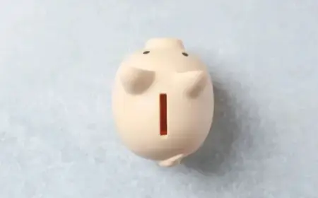 Cabinet Office Clarifies 2021 Outsourcing Amid 2025 Contract Implications