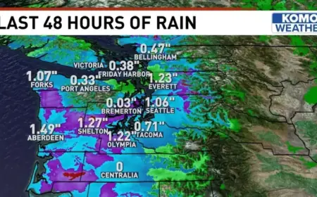 Thunderstorms Expected Amid Persistent Rain Showers