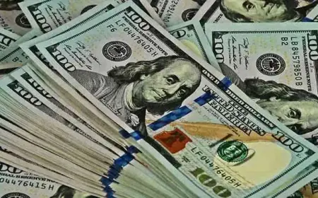 Zimbabwe Seeks $2.5B Bridge Financing from UK, Germany, Japan, France, Algeria