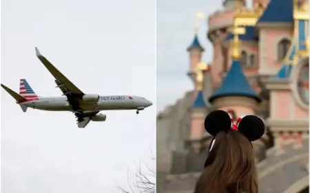 Family Sues American Airlines After Child’s Bumped Flight Ruins Disney Trip