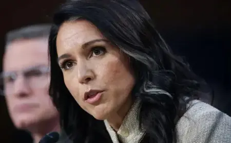 Gabbard Refers Whistleblower and Watchdog to DOJ Over Trump Impeachment
