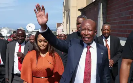 Prosecutors Demand 15-Year Sentence for South African Politician Malema