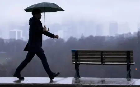 Toronto and GTA Brace for Special Weather Alert with 20mm Rainfall