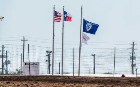 Texas Immigration Detainee, Mother of Five, Hospitalized; Sparks Urgent Release Calls