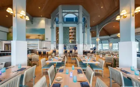 Disney World Introduces Deluxe Table-Service Dining Plan for 2027