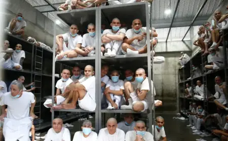 El Salvador Justice System Faces Resignation Shake-up