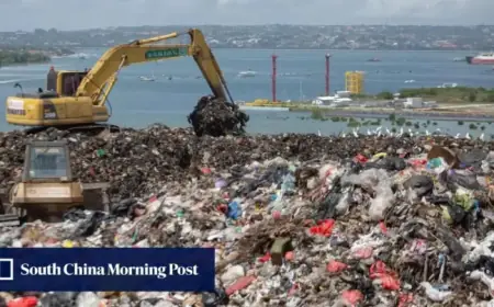 Bali Residents Burn Trash Following Organic Waste Landfill Ban