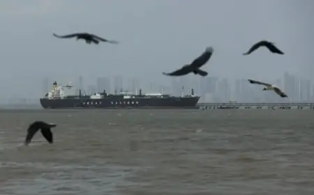 U.S. Blockade on Iran Shows Effectiveness and Success