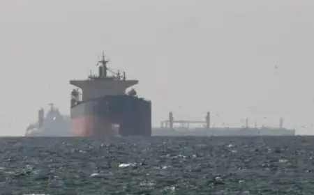 I’m A Celeb All Stars 2026: Who Exited the Jungle Last Night?