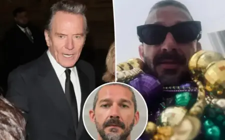 Bryan Cranston Criticizes Shia LaBeouf in Cutting Remark