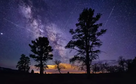 “Spot the Lyrid Meteor Shower Tonight: Essential Guide”