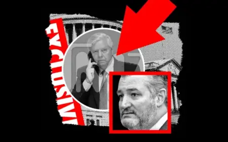 TMZ Targets Politicians with Unforgiving Coverage