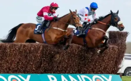 New 23-Home Development Plans Unveiled