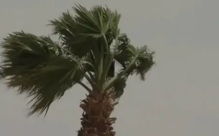 Blustery Winds Drop Temperatures in Las Vegas