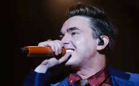 Jesse McCartney Seeks Sitcom Inspired by His Career Journey
