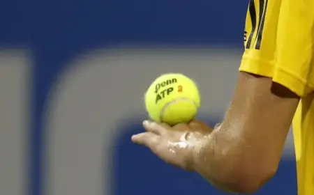 2026 Barcelona Open: Medjedovic vs. Borges – Prediction, Odds, Match Preview