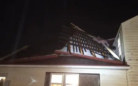 Storm Strikes Lycoming County: Homes and Trees Damaged