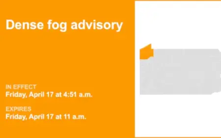 Northwest Pa. Faces Dense Fog Advisory Until Friday Noon, Visibility Limited