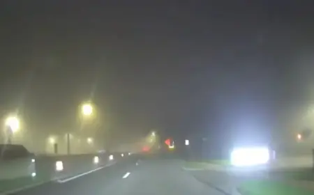 Dense Fog to Precede Plummeting Weekend Temperatures in Metro Detroit