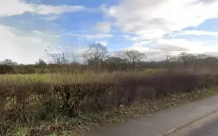 Tottenham Eyes Marcos Senesi Transfer for Premier League Stay – The Athletic