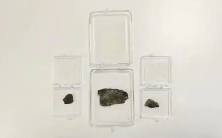 Martian Meteorites Reveal Traces of Ballpoint Pen Ink, Scientists Discover