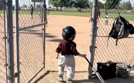 3-Year-Old Shines with Unmissable Baseball Walk-Up Performance