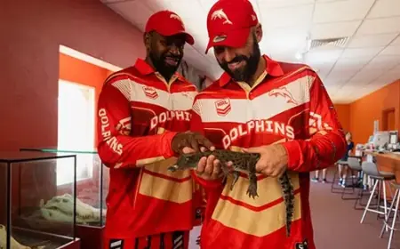 Discover Top Tips for Dolphin Watching in Darwin’s Top End