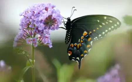 Join North Jersey’s 2026 Earth Day Celebrations with Local Community Events