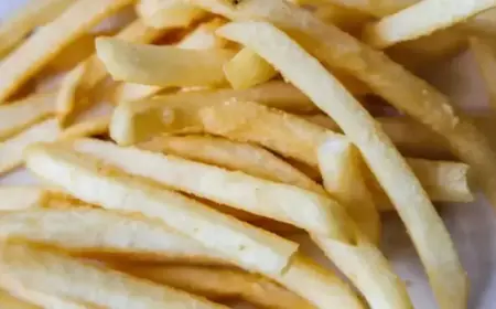 Exploring the Flavor of Ramyeon McShaker Fries