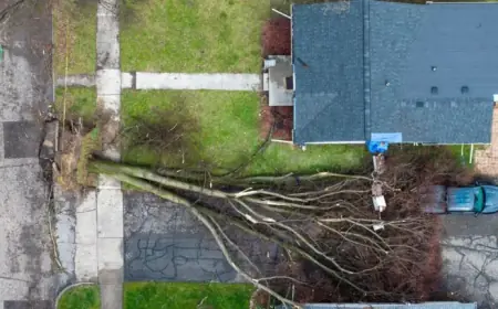 Tornado Warning vs. Watch: Key Differences Explained