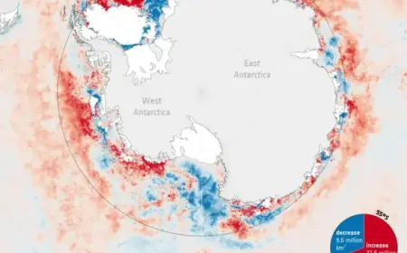 Chlorophyll-a Shifts Amid Transition from High Sea Ice to Low-Ice Era