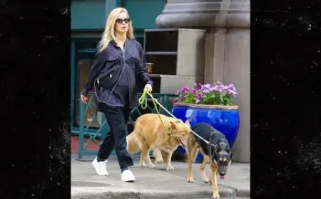 Annabelle Wallis Reveals Baby Bump with Sebastian Stan in NYC