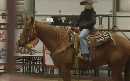 Midwest Horse Fair Returns to Alliant Energy Center This Weekend