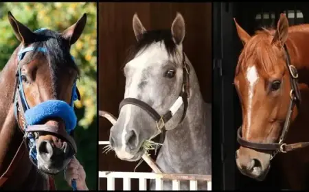 Meet the 2026 Kentucky Derby Contenders: A Slideshow Guide