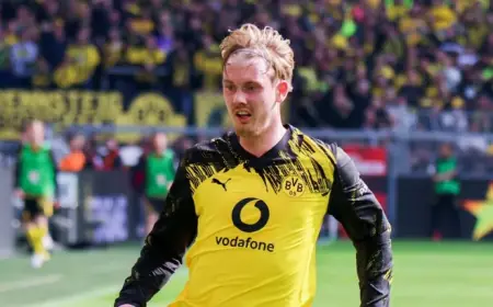 Hoffenheim vs Borussia Dortmund: Match Preview, Predictions, Team News