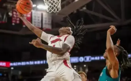 Jan Blachowicz Withdraws from UFC 328 Due to Meniscus Tear