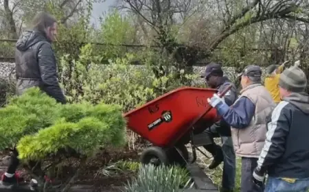 Chicago to Host Earth Day Cleanups This Saturday