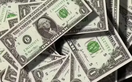 Harrison Ford’s Social Security Secrets: Doubles Average Benefits