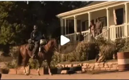 Upcoming Releases: Hulu and Disney+ Highlights for May 2026