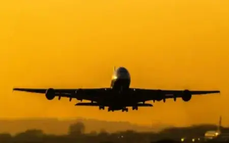 Where to Watch Stephanie Vaquer vs Liv Morgan Fight Live for Free Today