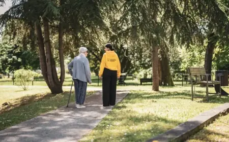 Pétanque Matches Combat Senior Isolation