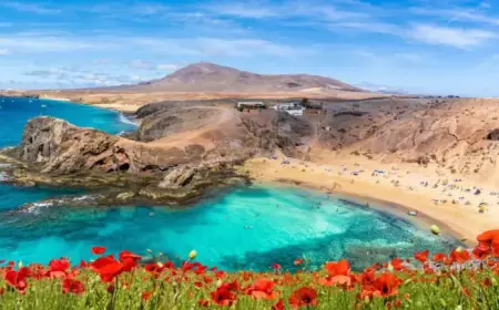 Lanzarote’s Unexpected Issues Deter Returning Tourists