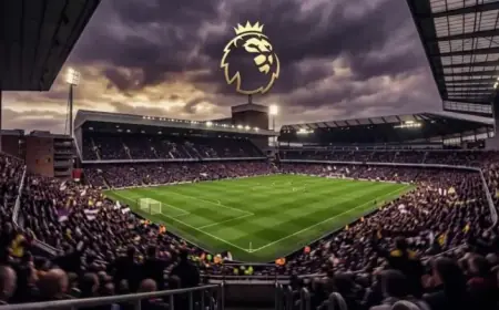 Leeds Triumphs 3-0 Over Wolves: Justin, Okafor, Calvert-Lewin Shine in Premier League