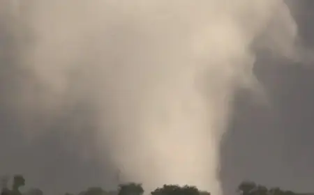 Illinois Struck by Five Tornadoes in Friday’s Storms