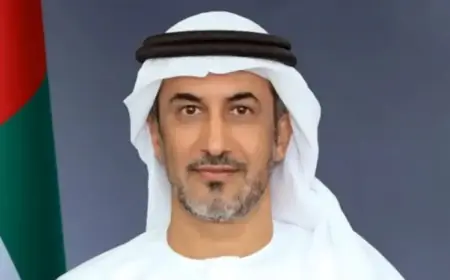 UAE Accuses Strait of Hormuz Closure of Economic Terrorism Impacting India