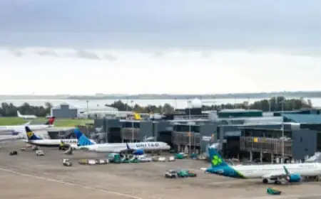 Claudia Winkleman’s Show Shines Introducing Dan Levy to Mr. Blobby