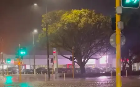 Record Rainfall Triggers Mass Evacuations in Wellington Homes