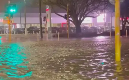 New Zealand Capital Residents Urged to Evacuate Amid Rising Flood Risk