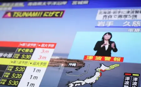 7.4-Magnitude Earthquake Strikes Japan, Tsunami Alert Issued